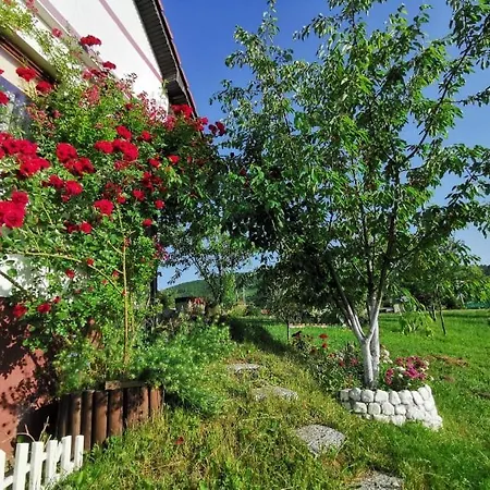 Dreamhouse Bosnia 펜션 비소코